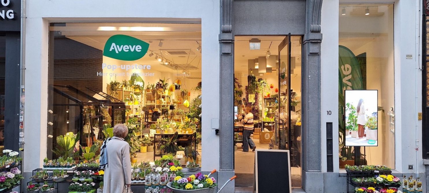 Pop up Antwerpen 1 groot