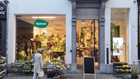 Le pop-up store Aveve : une oasis de verdure avec une communication solide